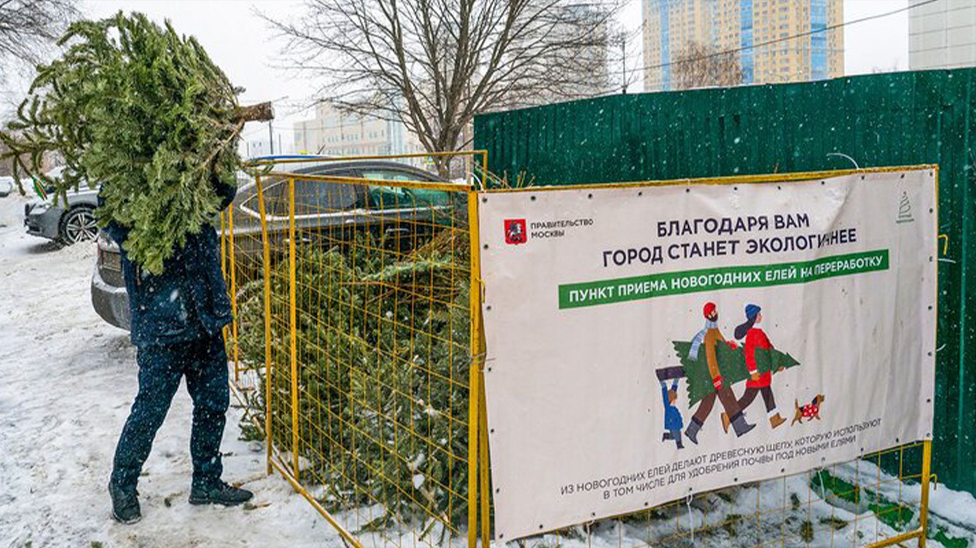 В Москве стартовала акция «Елочный круговорот» по сдаче елок на переработку смотреть онлайн