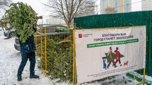 В Москве стартовала акция «Елочный круговорот» по сдаче елок на переработку