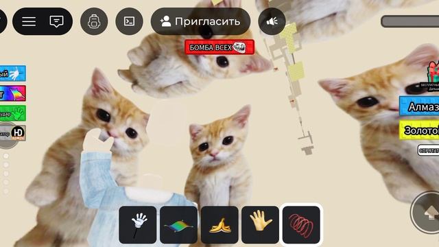 Ay my Gatito tower прохожу