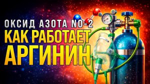 Как работает аргинин. Важные моменты, скрытые эффекты