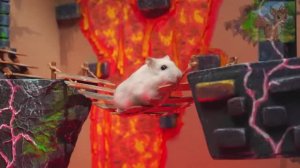 Рай для маленьких хомячков