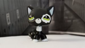 лпс сериал на грани ряльнасти и безумия серия 1