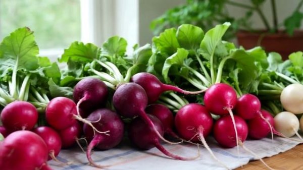 РЕДИС. Рецепт внутри! С Вас подписка, лайки и  комменты!