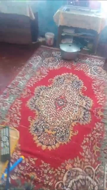 Флейлюр напал на меня! Помогииитееееееееееееееее!!!!!!!!!!!!!! смотреть онлайн