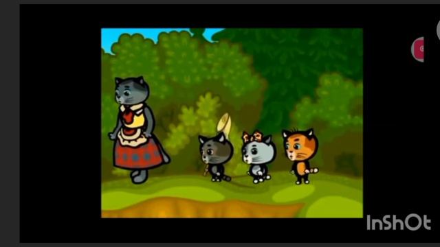 Все мои видео в подряд