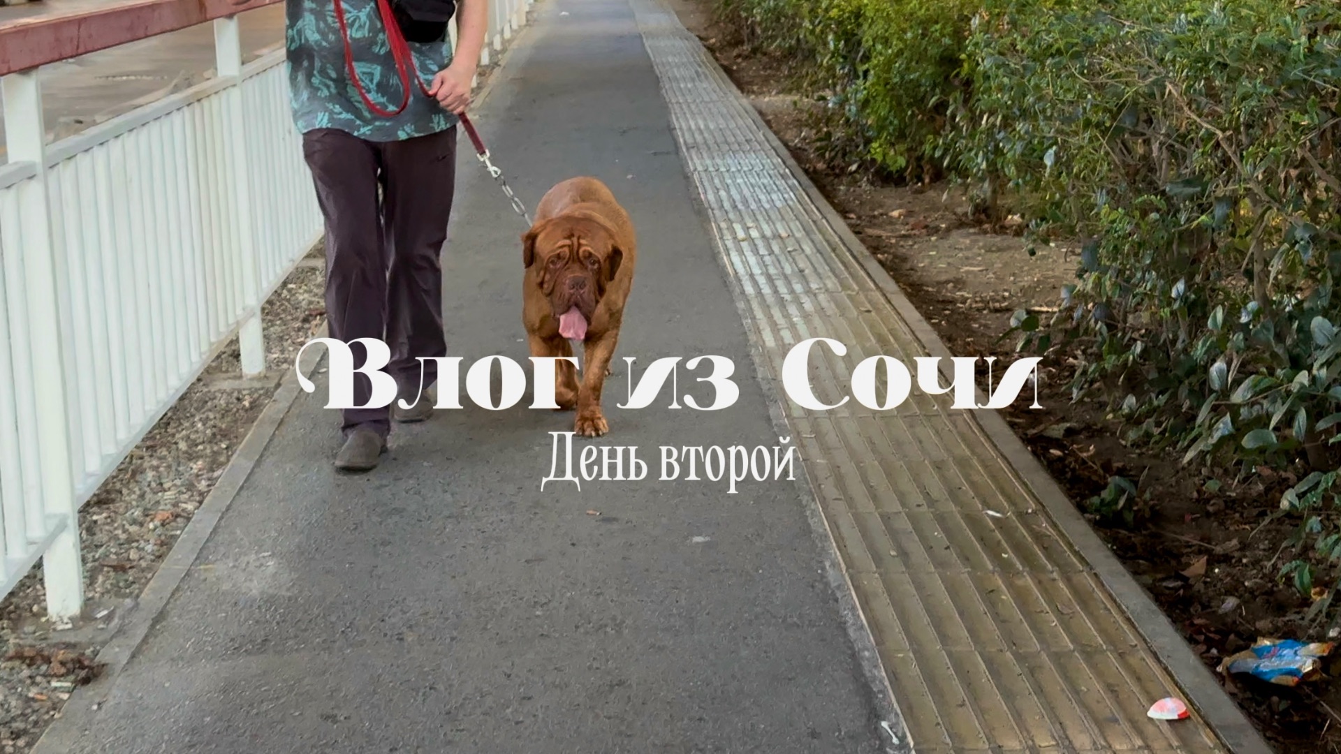 ВЛОГ ИЗ СОЧИ 2025. День второй смотреть онлайн