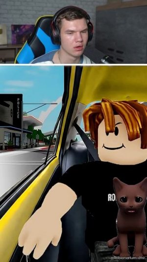 Кот на Дороге в Роблокс Брукхевен!🚗🐱 #shorts #шортс #roblox #роблокс #пранк #прикол #мем #шутка