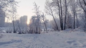 Красноярск. Морозный день 18 января 2026 г.