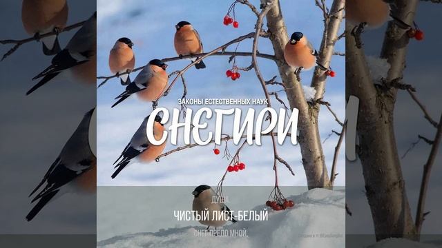 Снегири.mp4