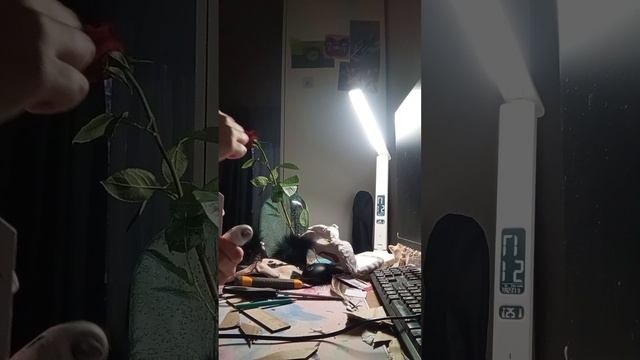 {🌼🌾}~ Всем р-рав!Не забывайте про мой тг!(В описании и комментариях📖✨)