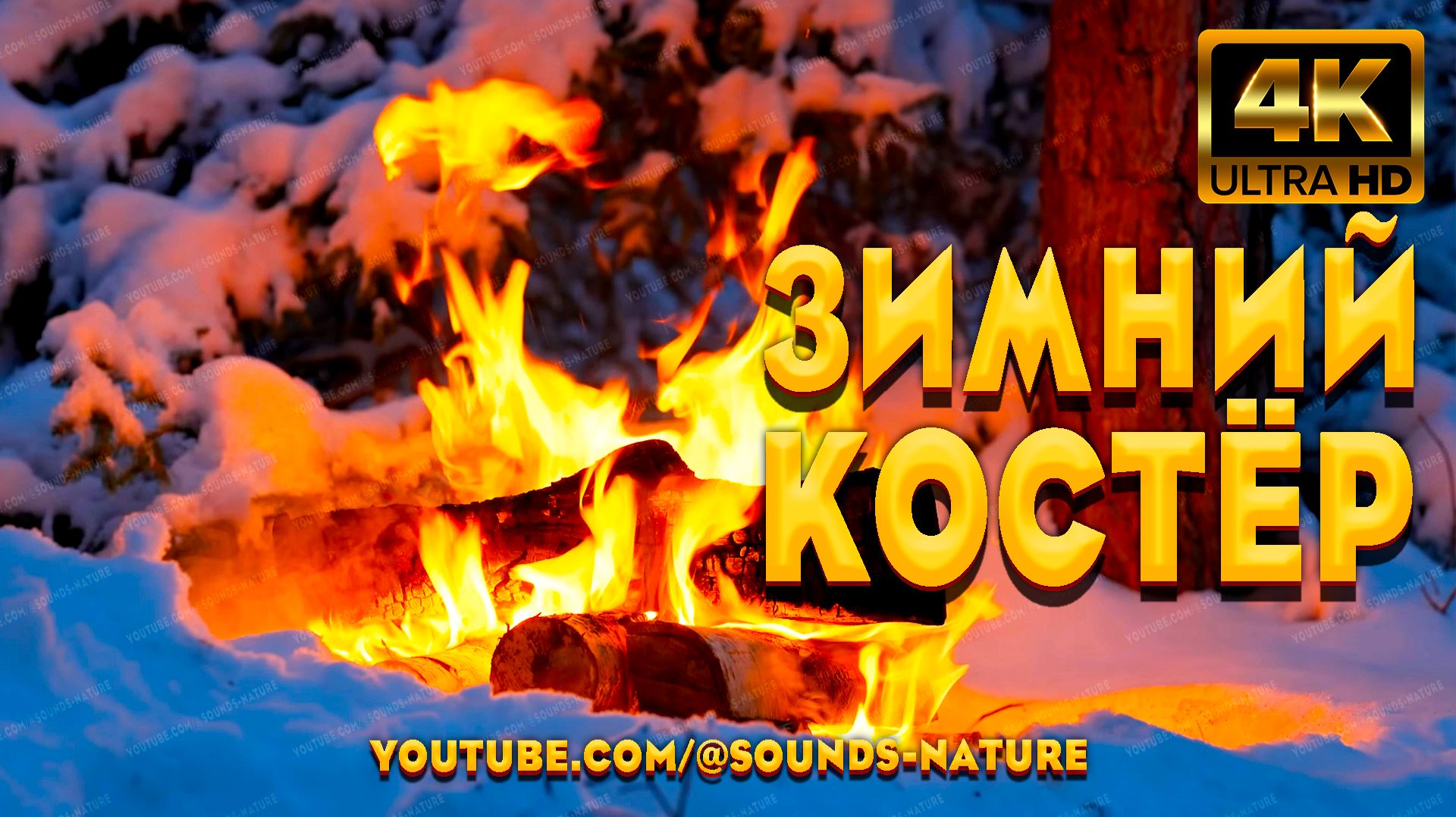 Тихий Зимний Костер В Глухом Лесу ❄️Уютная Зимняя Природа В Крещенские Морозы 🌲 Звуки Костра АСМР смотреть онлайн