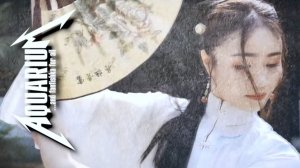 Аквариумные гейши — креветки фильтраторы