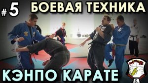 Боевая механика Кэнпо-Карате: техника синего пояса – 5.