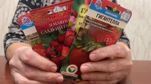 САДОВАЯ ЗЕМЛЯНИКА.КАК ВЫБРАТЬ НУЖНЫЙ СОРТ. РАЗБИРАЕМСЯ ВМЕСТЕ