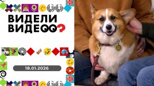 Видели видео? Выпуск от 18.01.2026