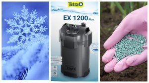 Вопросы аквариумистов: охлаждение аквариума, внешний фильтр, садовые удобрения для аквариума