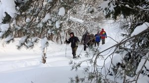2026.01.17 Логиново-Строитель 15 км