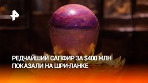 На Шри-Ланке показали самый большой фиолетовый сапфир