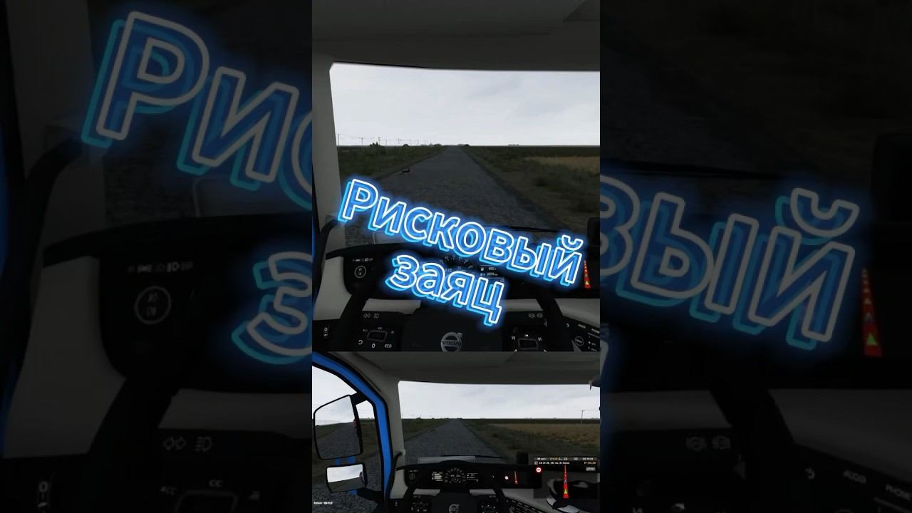 Рискует жизнью #ets2 #eurotrucksimulator2 #driver #ets2mods #ets2news #short смотреть онлайн