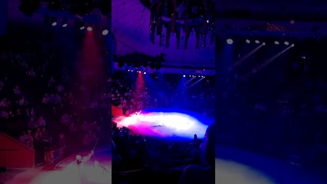 Песчаная сказка смотреть онлайн