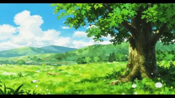 The Breath of Summer