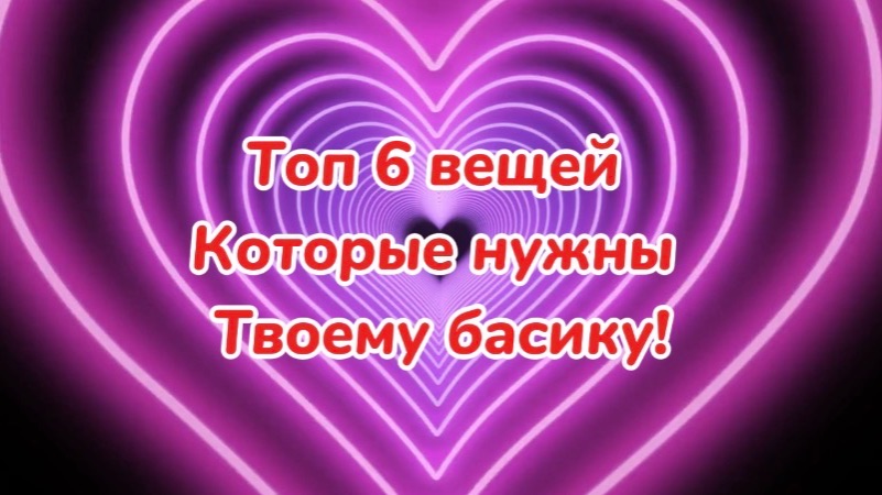 Топ 6 вещей которые нужны твоему басику!😎🫶🏻