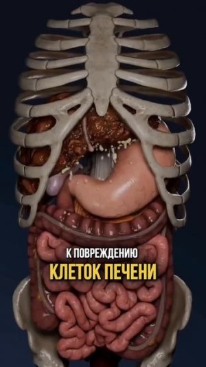 Пластик вызывает ОНКОЛОГИЮ