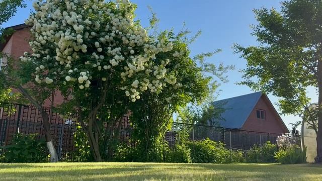 0118 смотреть онлайн