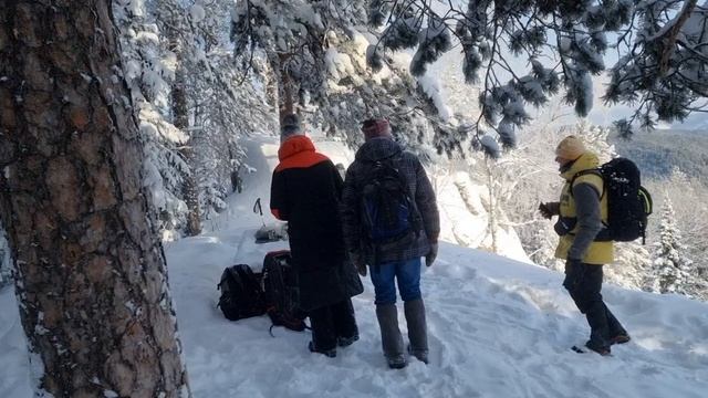 Мороз на столбах