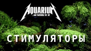 Аквариумные стимуляторы роста растений. Играй, гормон!