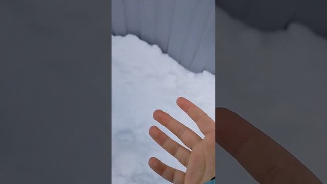 petal_20260118_163840.mp4