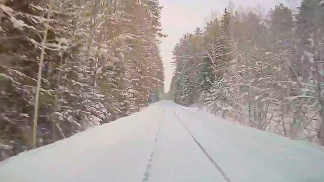 прогулка по лесу смотреть онлайн