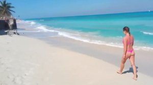 У пеликанов хороший вкус!