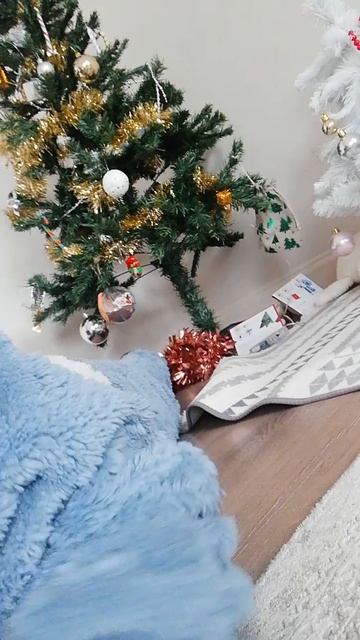 VID_20260118_084533.mp4