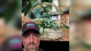 Земля не шар?