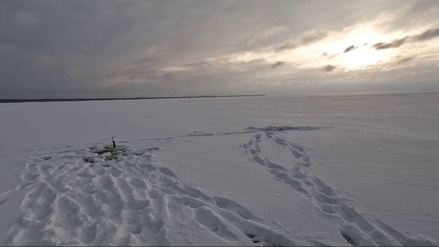 Зимняя рыбалка в Репино. СПб смотреть онлайн