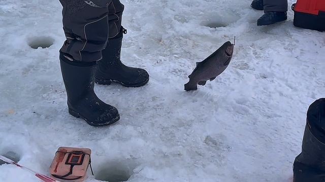 copy_1742A89A-1114-45C0-B576-FA3DE580D97E смотреть онлайн