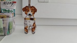 ꧂Влог с Кренделем꧂+новый попугайчик◦•●◉✿  ✿◉●•◦