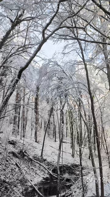 Поездка в зимние горы Прасковеевки смотреть онлайн