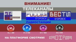 Промо ГТРК ЕГОРОВСК 2030 и Платформа Смотрим! ВГТРК