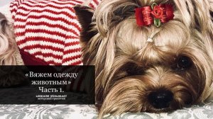 Вяжем одежду питомцам на вязальной машине. Часть 1