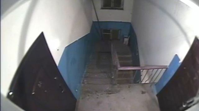 Неведомое нечто в подъезде