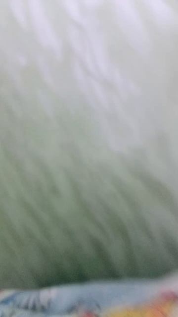 Фейлюр продолжается!😰 смотреть онлайн