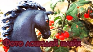 Фото лошадей шляйх 🐎