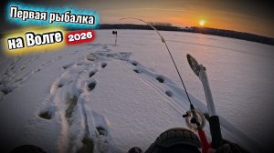 Рыбалка на ВОЛГЕ 2026! КРАСОТИЩА!