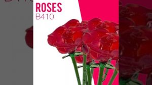 B410 - Roses feat. I Love you