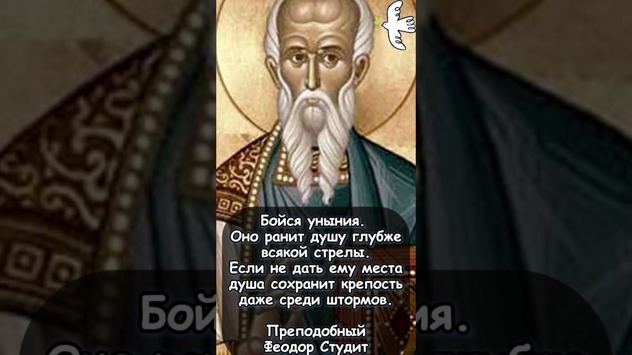 БОЙСЯ УНЫНИЯ. Преподобный Феодор Студит #молитвысвятым #православныйцарь #любовь #цитаты