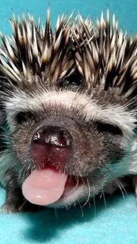 Я В 3:00 НОЧИ (2.2)