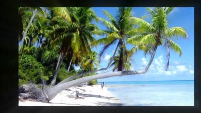 Под тенью пальм смотреть онлайн