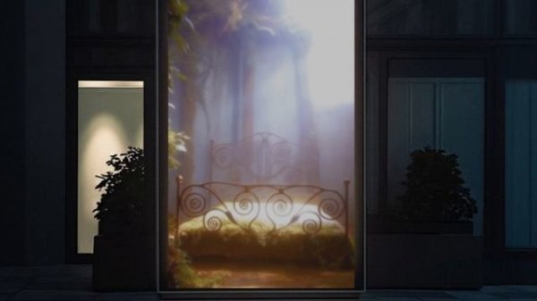 метаморфоза